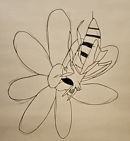 Bee visiting a flower